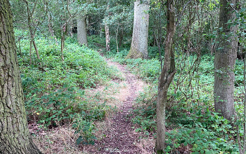 Waypoint 12